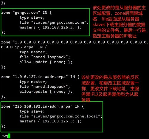 深入实践 Linux网络中构建DNS主从与分离解析服务器全攻略