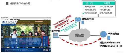 湖科大微课堂笔记 应用层概述与关键协议解析