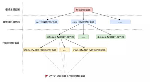 超详细 DNS 协议解析 从域名到根服务器的运行机制